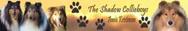 the shadowcollieboys.