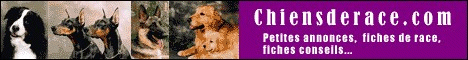 Chiensderace.